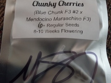 Vente: Chunky Cherries - Strait A Genetics