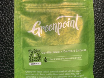 Vente: Gorilla Glue (GG4) x Dante's Inferno - Greenpoint