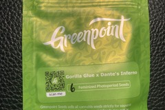 Venta: Gorilla Glue (GG4) x Dante's Inferno - Greenpoint