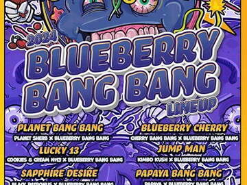 Vente: Blueberry Bang Bang Release from Exotic Genetix