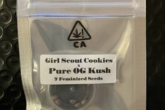 Venta: Pure OG Kush Crosses from CSI