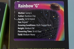 Sell: Rainbow G by exotic genetix