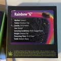 Venta: Rainbow G by exotic genetix