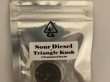 Sell: Triangle Kush Crosses from CSI Humboldt