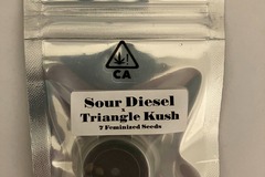 Sell: Triangle Kush Crosses from CSI Humboldt