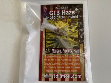 Sell: G13 HAZE FEMINIZED SEEDS