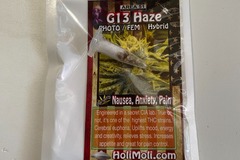 Sell: G13 HAZE FEMINIZED SEEDS