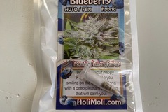 Vente: BLUEBERRY AUTO FEMINIZED SEEDS