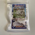 Vente: BLUEBERRY AUTO FEMINIZED SEEDS