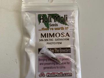 Sell: MIMOSA FEMINIZED SEEDS