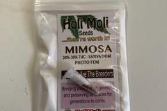 Vente: MIMOSA FEMINIZED SEEDS