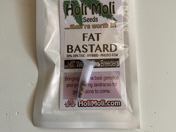 Vente: FAT BASTARD FEMINIZED SEEDS