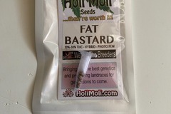 Sell: FAT BASTARD FEMINIZED SEEDS