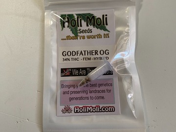 Venta: GODFATHER OG FEMINIZED SEEDS