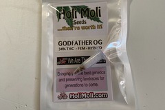 Sell: GODFATHER OG FEMINIZED SEEDS