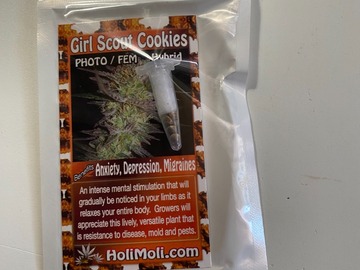 Venta: 6 FEMINIZED GIRL SCOUT COOKIES SEEDS