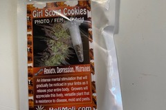 Vente: 6 FEMINIZED GIRL SCOUT COOKIES SEEDS