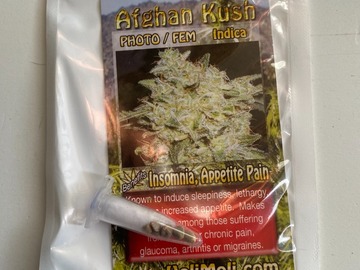 Sell: 6 FEMINIZED AFGHAN KUSH SEEDS