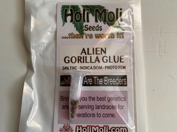 Sell: 6 FEMINIZED ALIEN GORILLA GLUE