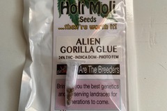 Sell: 6 FEMINIZED ALIEN GORILLA GLUE