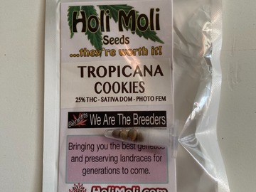 Sell: 6 FEMINIZED TROPICANA COOKIES SEEDS