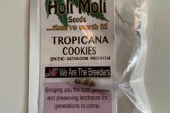 Sell: 6 FEMINIZED TROPICANA COOKIES SEEDS