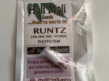 Sell: 6 FEMINIZED RUNTZ SEEDS