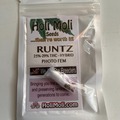 Sell: 6 FEMINIZED RUNTZ SEEDS