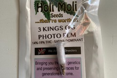 Sell: 6 FEMINIZED 3 KINGS SEEDS