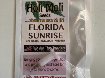 Venta: 6 FEMINIZED FLORIDA SUNRISE AUTOFLOWER SEEDS