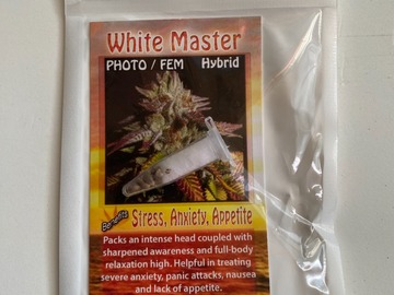 Venta: 6 FEMINIZED WHITE MASTER SEEDS