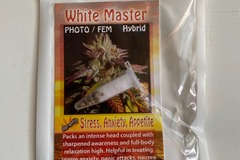 Sell: 6 FEMINIZED WHITE MASTER SEEDS