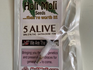 Sell: 6 FEMINIZED 5 ALIVE SEEDS