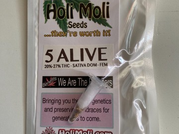 Venta: 6 FEMINIZED 5 ALIVE SEEDS