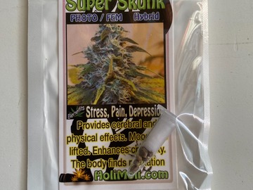 Venta: 6 FEMINIZED SUPER SKUNK SEEDS