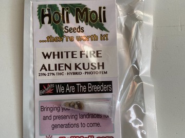 Sell: 6 FEMINIZED WHITE FIRE ALIEN KUSH