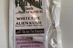 Sell: 6 FEMINIZED WHITE FIRE ALIEN KUSH