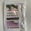 Sell: 6 FEMINIZED WHITE FIRE ALIEN KUSH