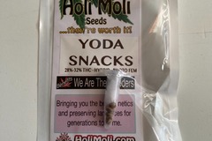 Sell: 6 FEMINIZED YODA SANCKS F1 SEEDS