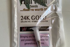 Sell: 6 FEMINIZED 24K GOLD SEEDS