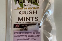 Sell: 6 FEMINIZED GUSH MINTS SEEDS