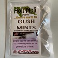 Sell: 6 FEMINIZED GUSH MINTS SEEDS