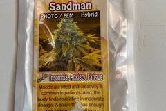 Sell: 6 FEMINIZED SANDMAN SEEDS