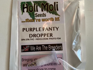 Vente: 6 FEMINIZED PURPLE PANTY DROPPER SEEDS