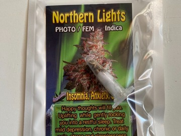 Sell: 6 FEMINIZED NORTHERN LIGHTS SEEDS