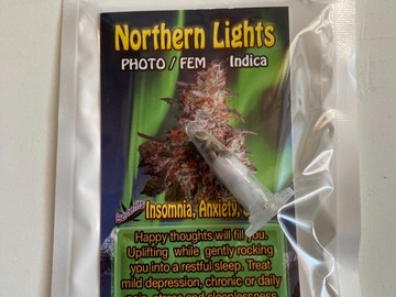 Venta: 6 FEMINIZED NORTHERN LIGHTS SEEDS