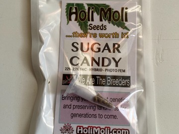 Sell: 6 FEMINIZED SUGAR CANDY SEEDS