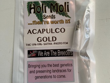Sell: 6 FEMINIZED ACAPULCO GOLD SEEDS