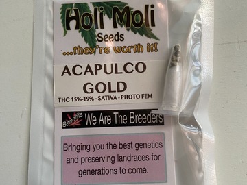 6 FEMINIZED ACAPULCO GOLD SEEDS