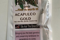 Vente: 6 FEMINIZED ACAPULCO GOLD SEEDS